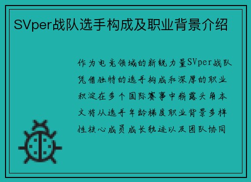SVper战队选手构成及职业背景介绍