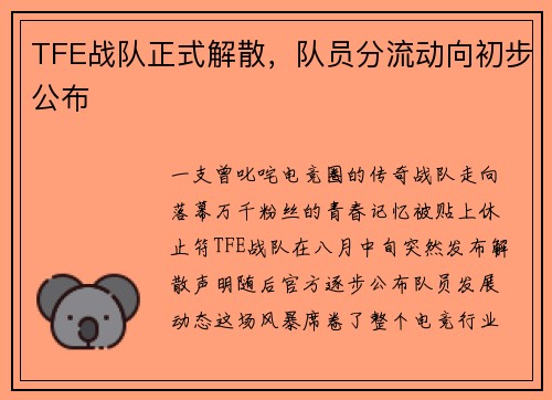 TFE战队正式解散，队员分流动向初步公布
